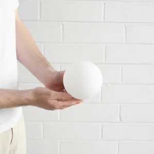 Dawn Avalon Small White Wall Light, Surface-Mounted, Hand Blown Frosted Orb, 3000K-5000K Color Temperature Options by Dawn, a Wall Lighting for sale on Style Sourcebook