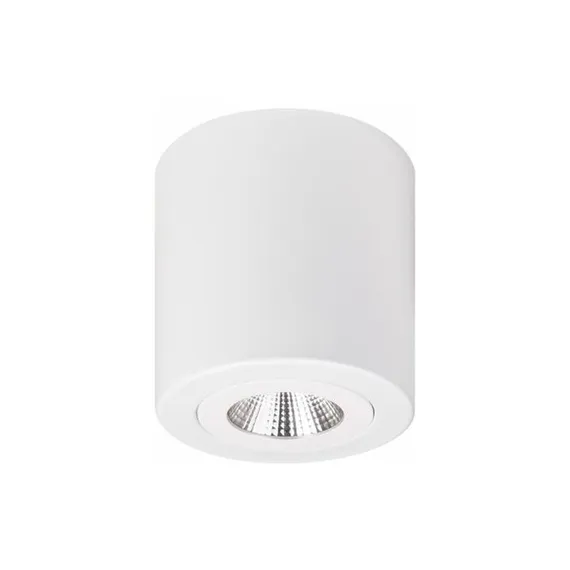 SAL Ecostar Commercial Grade Surface Mount LED Downlight, 12W, 5000K