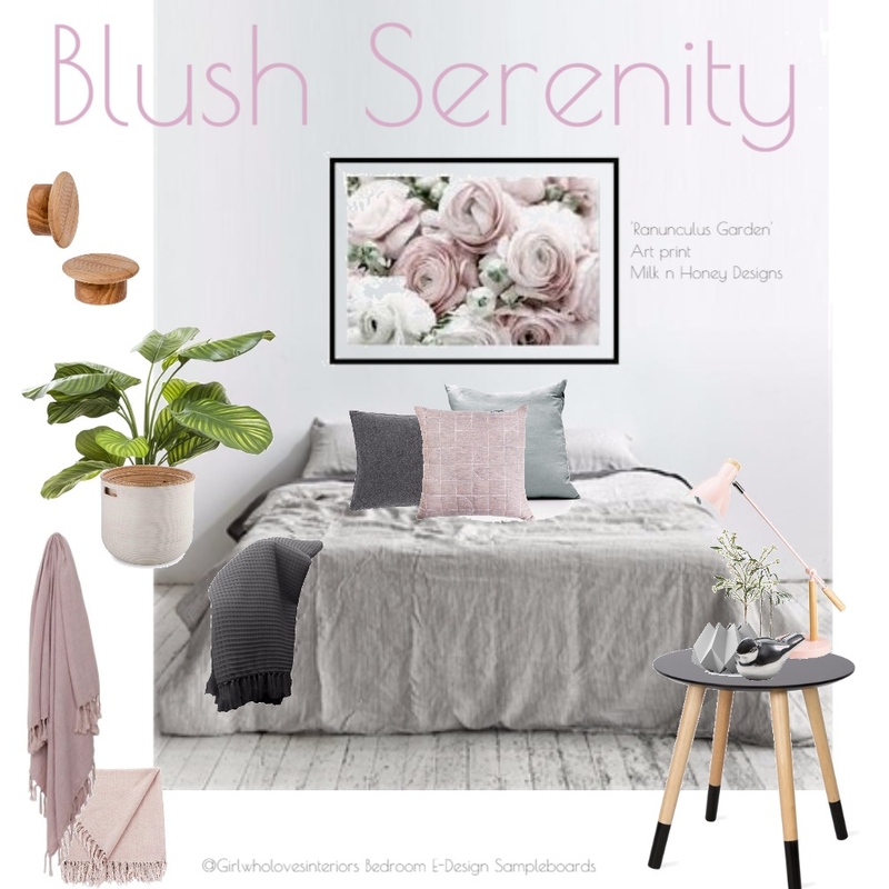 Blush Dreams Mood Board by girlwholovesinteriors on Style Sourcebook