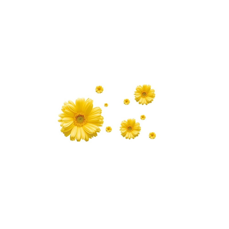 yellow flowers Mood Board by Elinor on Style Sourcebook