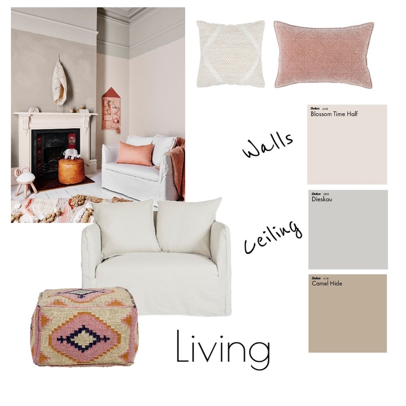 Coral Living Mood Board by Dulux Colour Design Service on Style Sourcebook