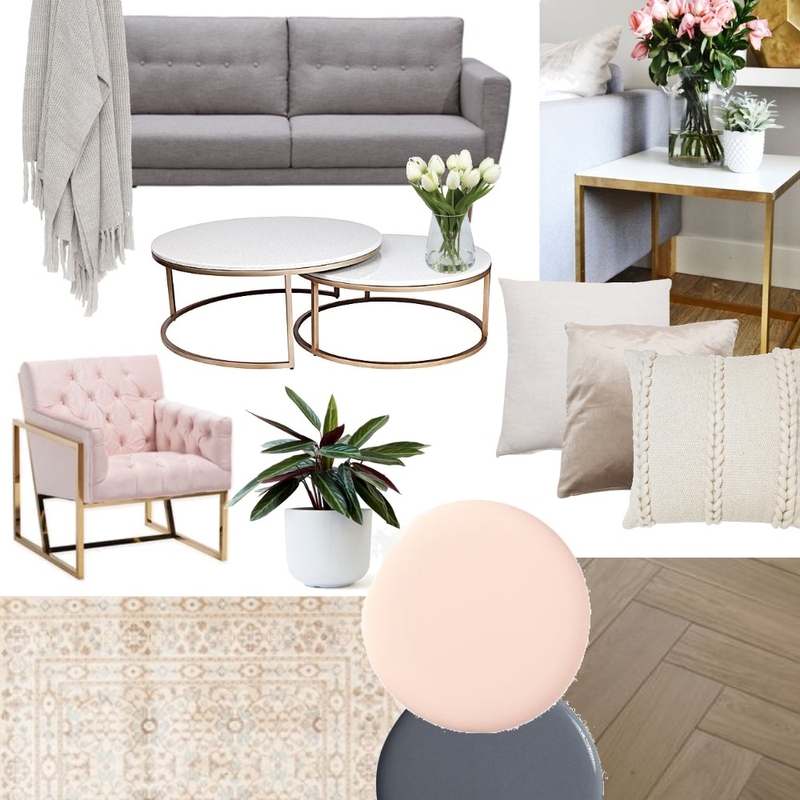 pink living room Mood Board by claireswanepoel on Style Sourcebook