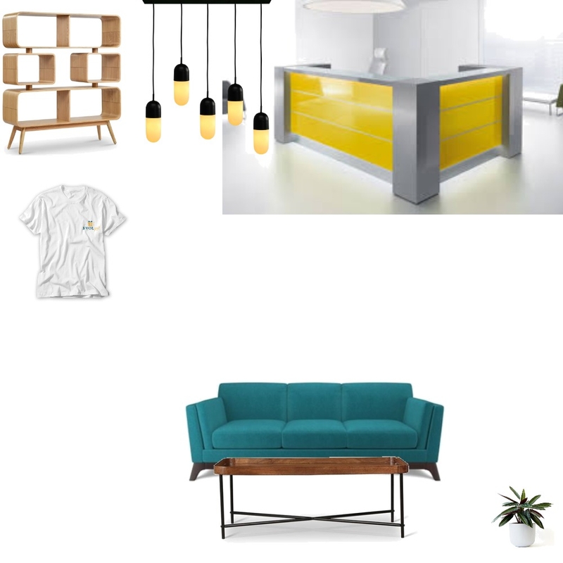 Evol_interior shop Mood Board by catutza on Style Sourcebook