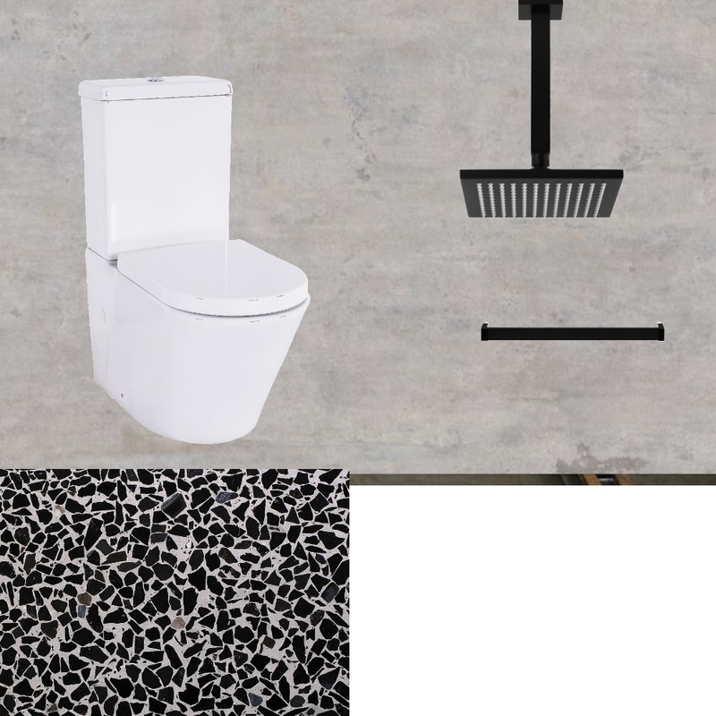 downstairs shower and toliet Mood Board by gaynoremcarthur on Style Sourcebook
