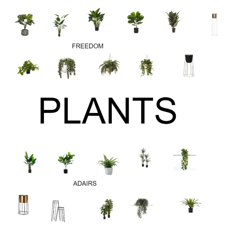 FV Showroom Plants Mood Board by Virginiah on Style Sourcebook