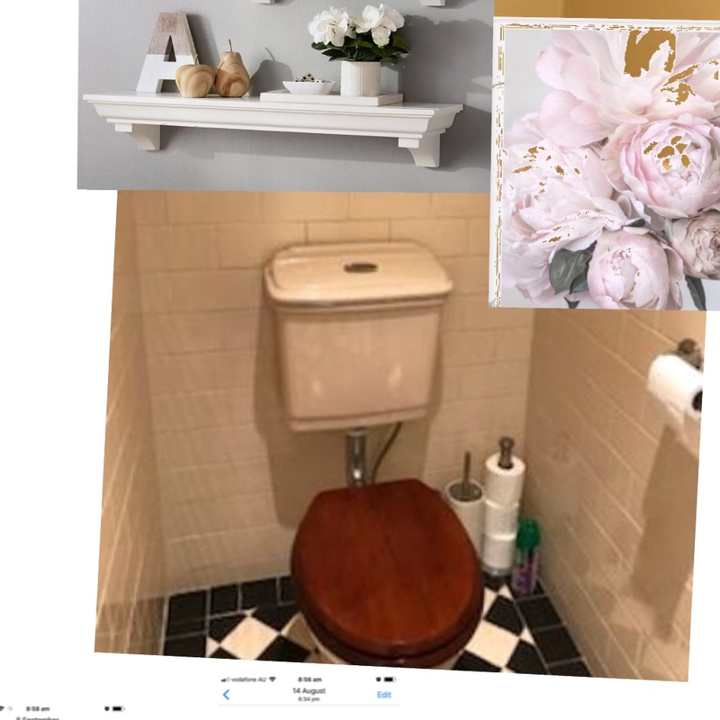 Toilet2 Mood Board by cathytheuma on Style Sourcebook