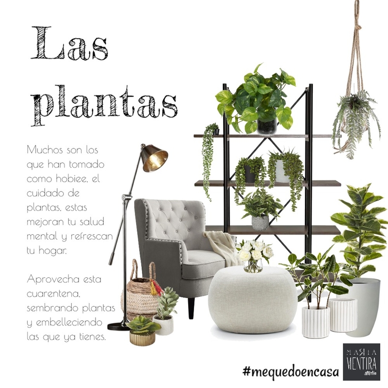 plantas Mood Board by mariamentira on Style Sourcebook