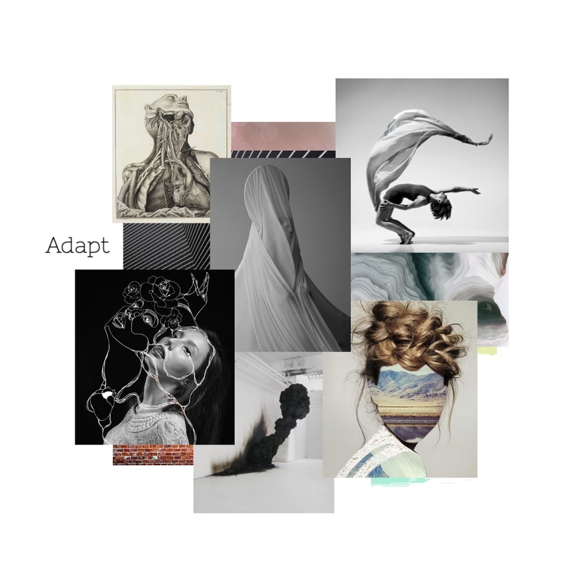 Adapt Concept Board Mood Board by anarcay on Style Sourcebook