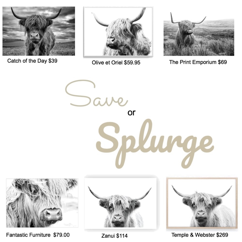 Save or Splurge Mood Board by Autumn & Raine Interiors on Style Sourcebook