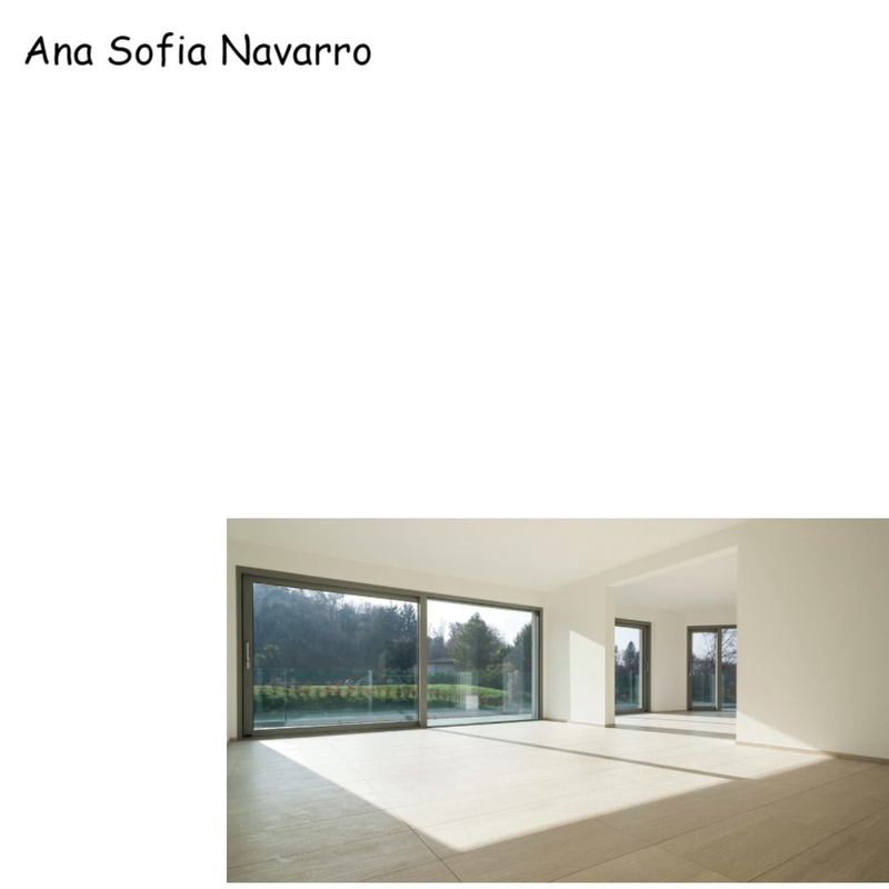 Ana Sofia Navarro Mood Board by Susana Damy on Style Sourcebook
