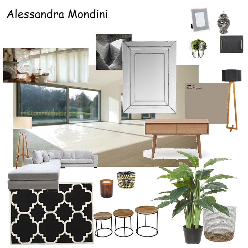 Alessandra Mondini Mood Board by Susana Damy on Style Sourcebook