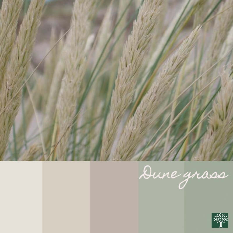 Colour Board - Dune Grass Mood Board by Chestnut Interior Design on Style Sourcebook