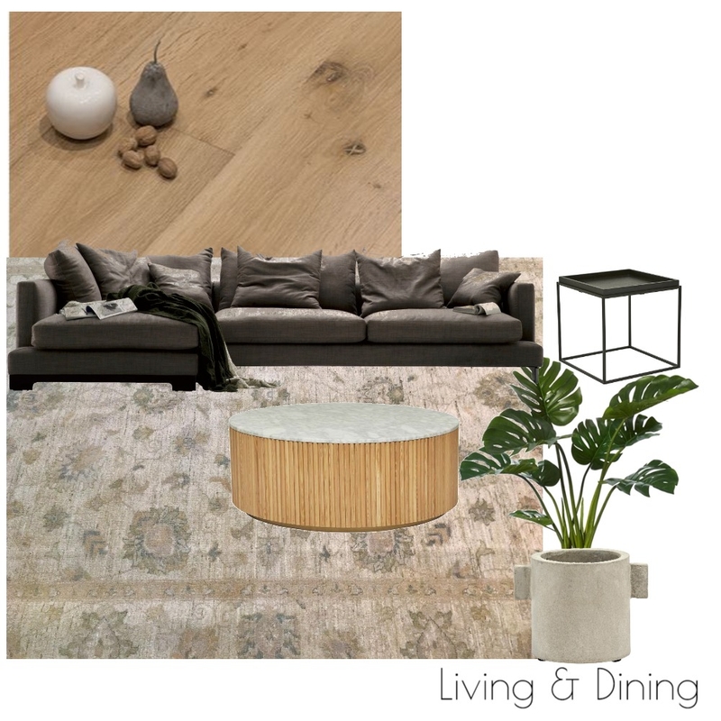 Living Room Robina Mood Board by outsideinbydenise on Style Sourcebook