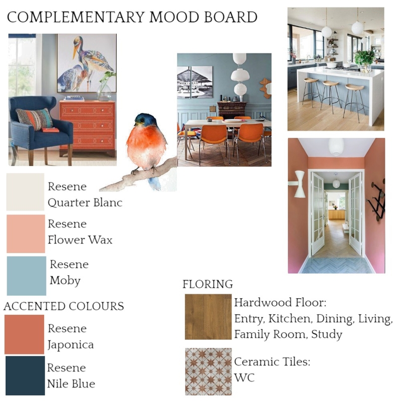 Complementary Mood Board by AnjaDesign on Style Sourcebook