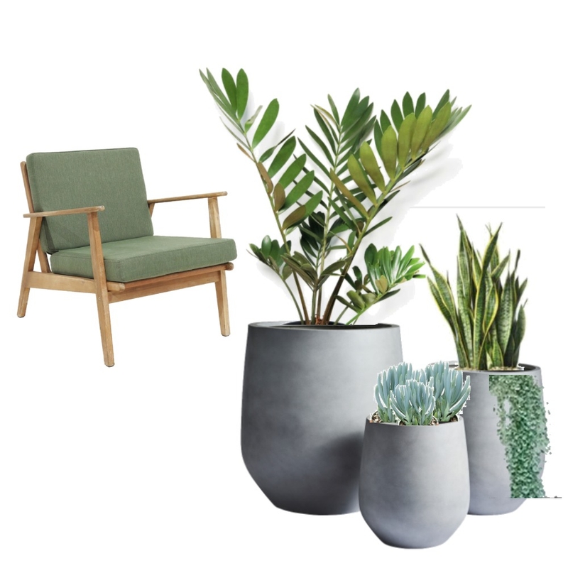 Front yard pots Mood Board by anna.reed87 on Style Sourcebook