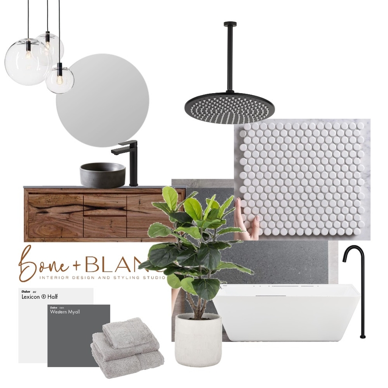 Modern 1 Mood Board by bone + blanc interior design studio on Style Sourcebook