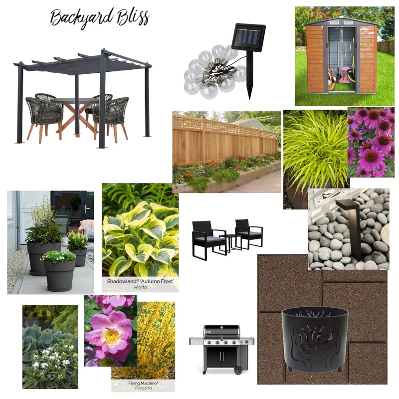 Backyard Bliss Mood Board by undefined on Style Sourcebook