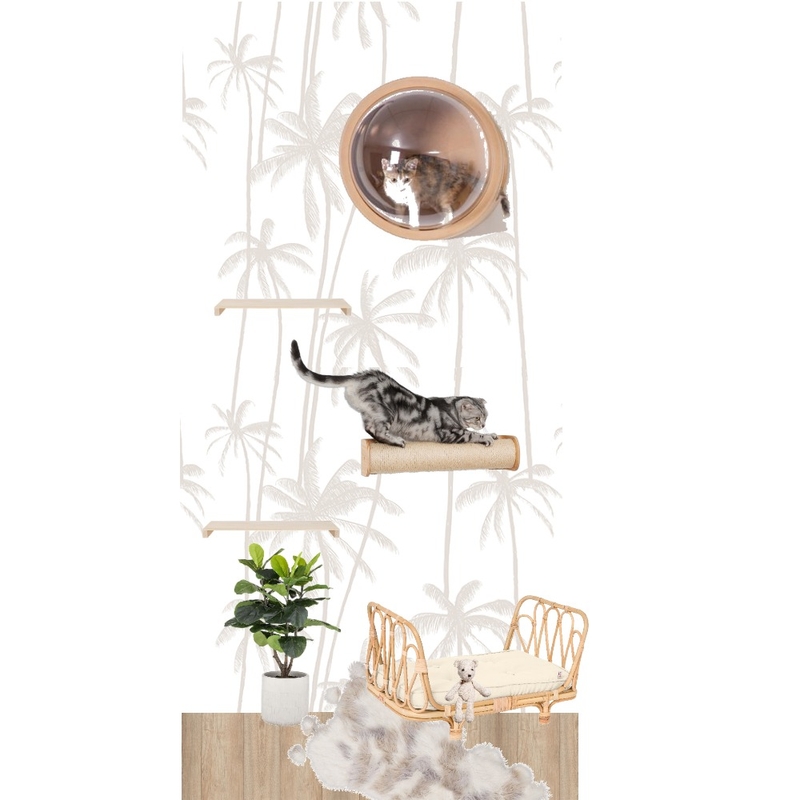 Cat Cupboard Mood Board by Tamaraa on Style Sourcebook