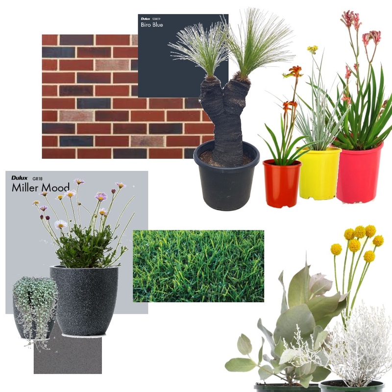 Front landscaping Mood Board by Arlenedekker on Style Sourcebook