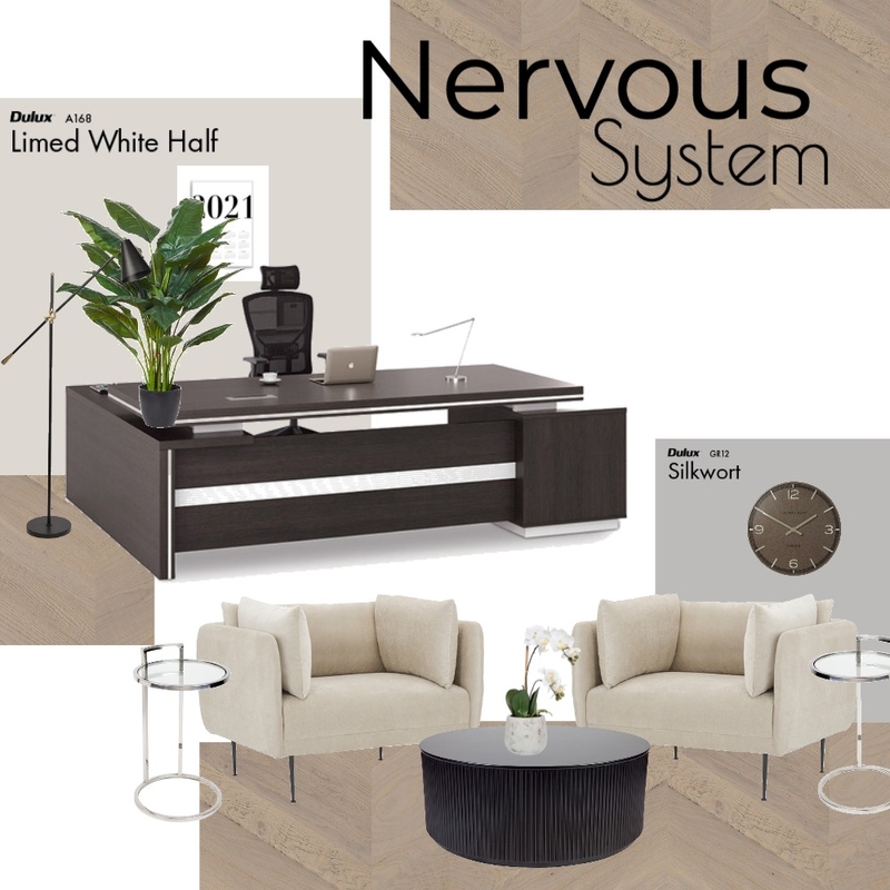 Nervous System Mood Board by Designs by Hannah Elizebeth on Style Sourcebook