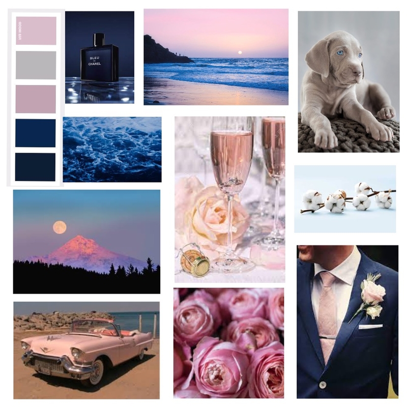 Blue and pink Mood Board by Liraz hanoch on Style Sourcebook