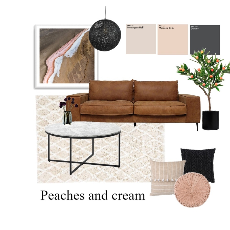 Peaches and Cream Mood Board by taketwointeriors on Style Sourcebook