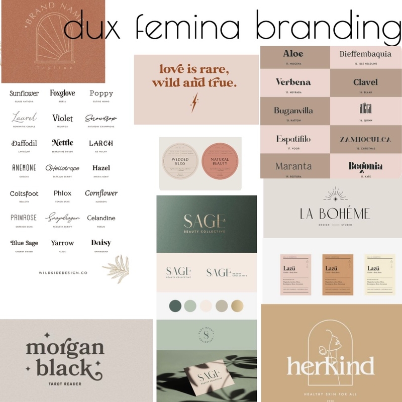 dux fémina branding Mood Board by FionaGatto on Style Sourcebook