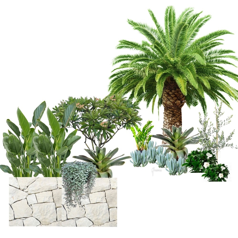 Landscaping Mood Board by madielks on Style Sourcebook
