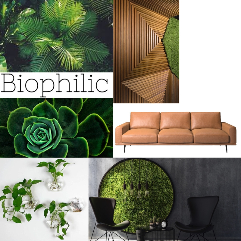 biophilic Mood Board by ValerieHormes on Style Sourcebook