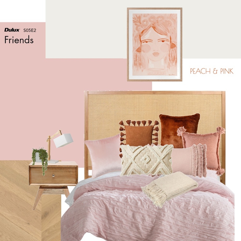 Peach and Pink Mood Board by izzyrubins on Style Sourcebook