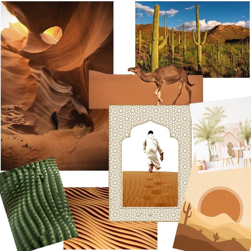 Desert mood board Mood Board by liorda on Style Sourcebook