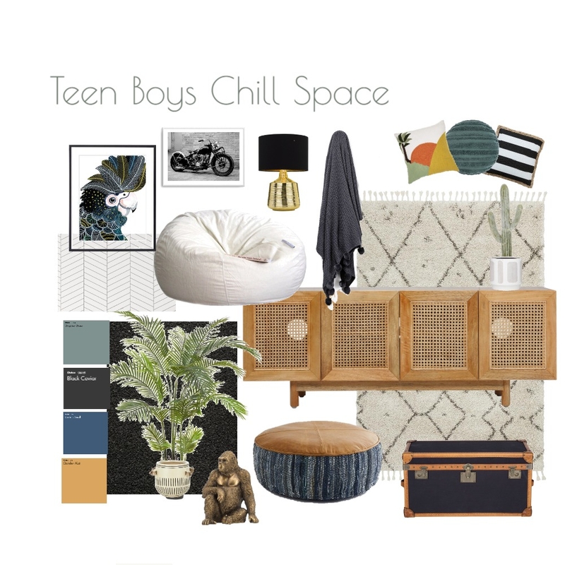 Teen Boy Chill Space Mood Board by Georgie Ashworth on Style Sourcebook