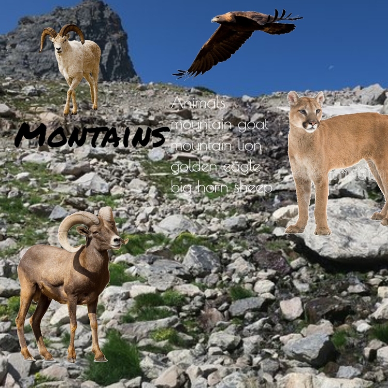 mountain landscape Mood Board by HeidiN on Style Sourcebook