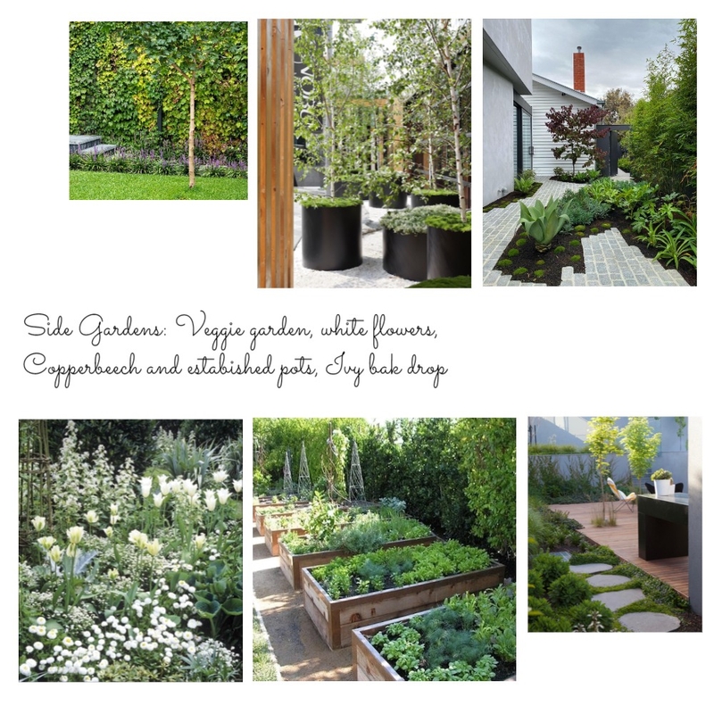 Landscape side garden moodboard Mood Board by jacquimidgleyforrest on Style Sourcebook