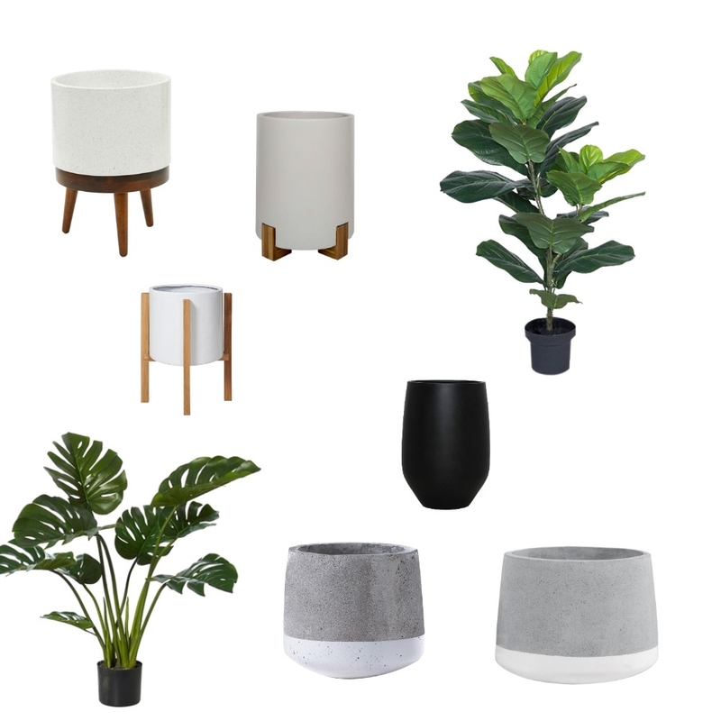 Indoor Plant and Planter Mood Board by ebonyb on Style Sourcebook