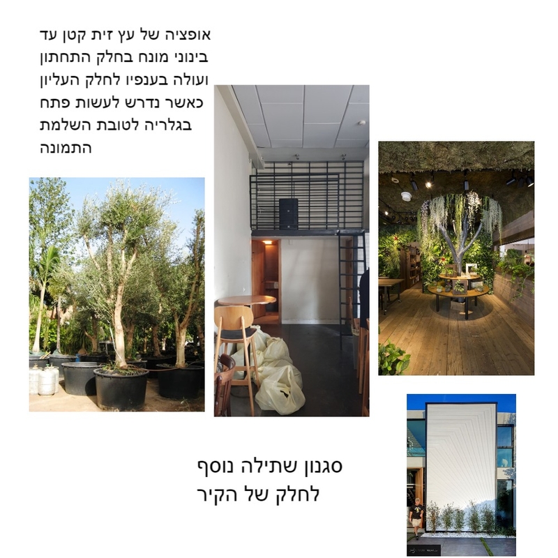 קיר כוח עציצים Mood Board by mali kai on Style Sourcebook