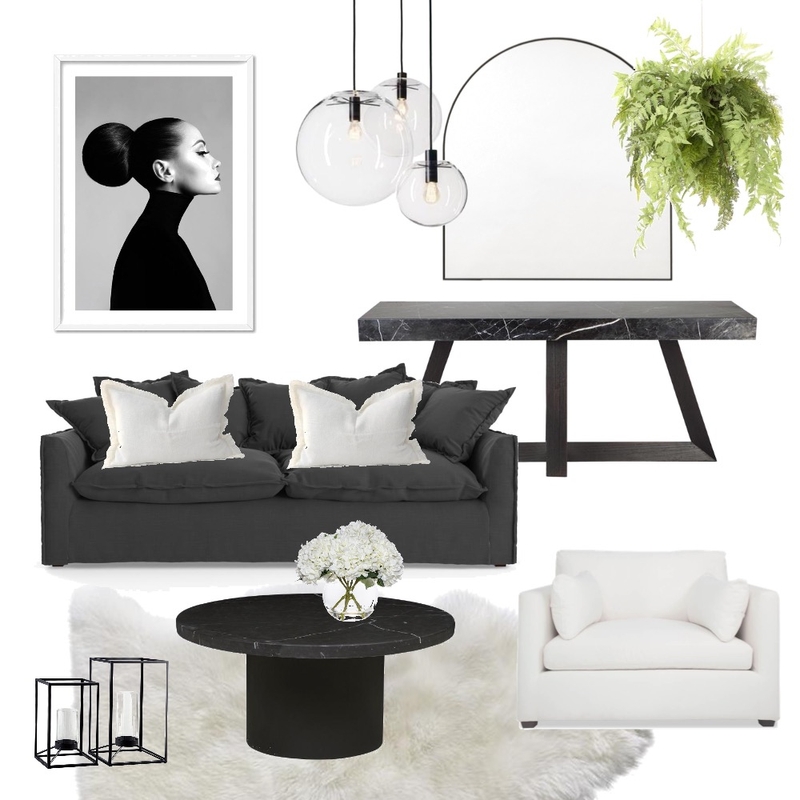 Black and white Mood Board by vanceinteriors on Style Sourcebook