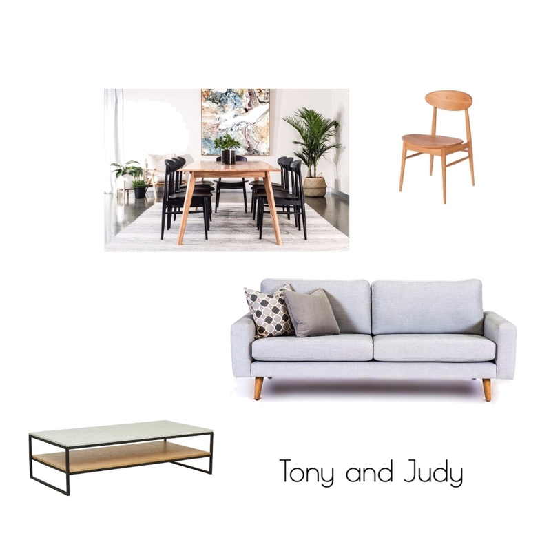 Tony and Judy D'lorenzo Mood Board by Carolyn Mehr Interiors on Style Sourcebook