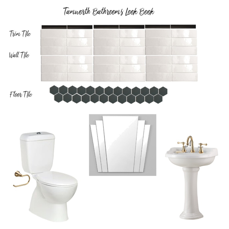 Tamworth Mens toilet 2022 Mood Board by Design Miss M on Style Sourcebook