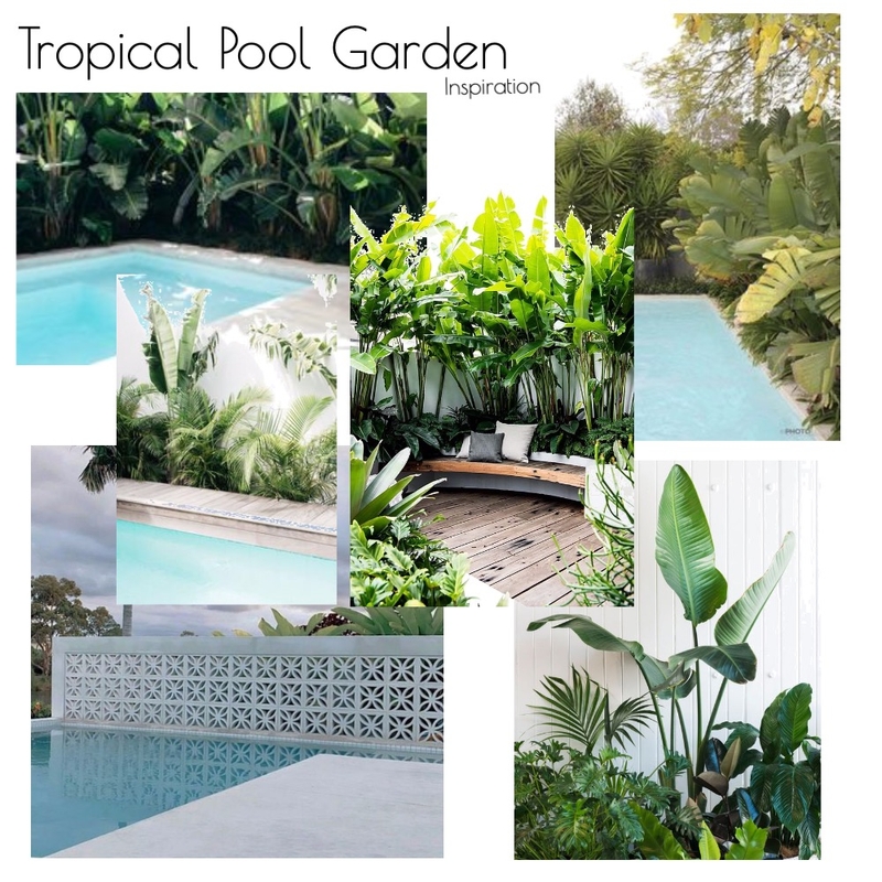 Tropical Pool Garden Inspiration pics Mood Board by Leafdesigns on Style Sourcebook