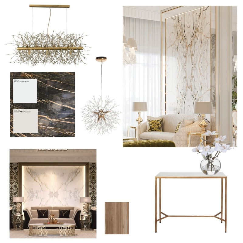 Foyer Marble Wall Mood Board by Miriam Goldberger on Style Sourcebook