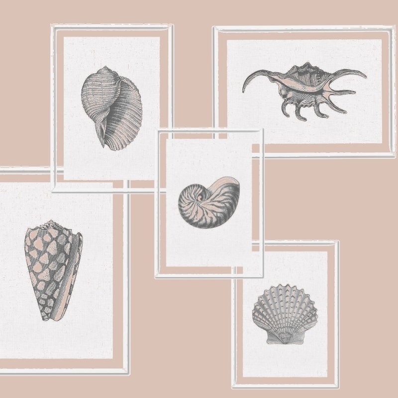 shell Mood Board by Toni Martinez on Style Sourcebook
