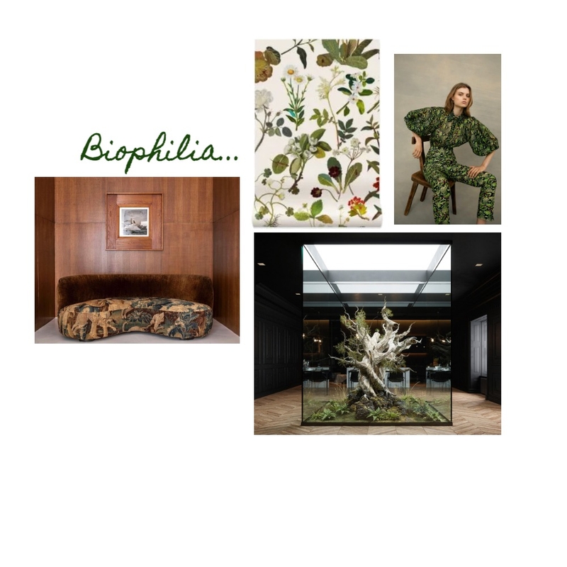 Biophilia Mood Board by The Stylin Tribe on Style Sourcebook