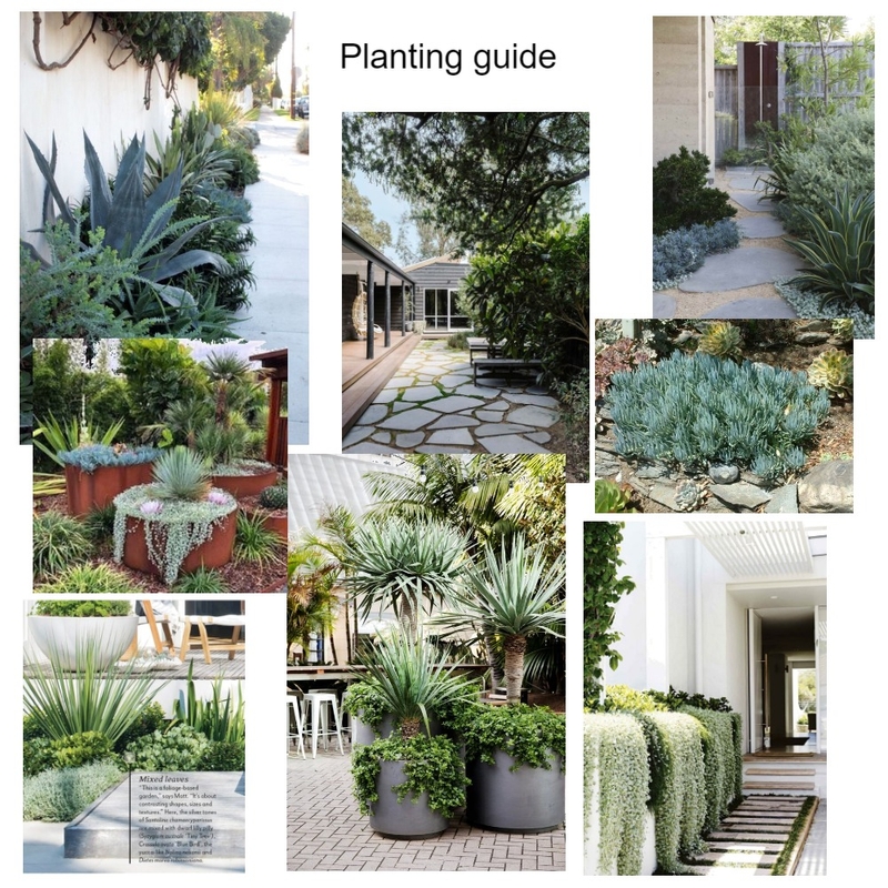 Planting guide Mood Board by Tanya on Style Sourcebook