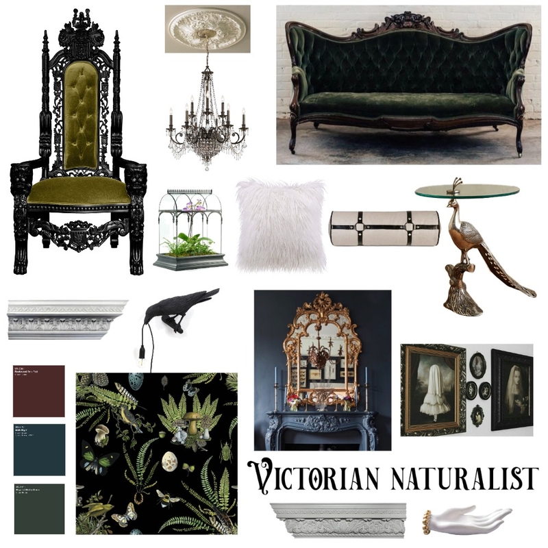 Victorian Naturalist Mood Board by Dreamscape Decor on Style Sourcebook