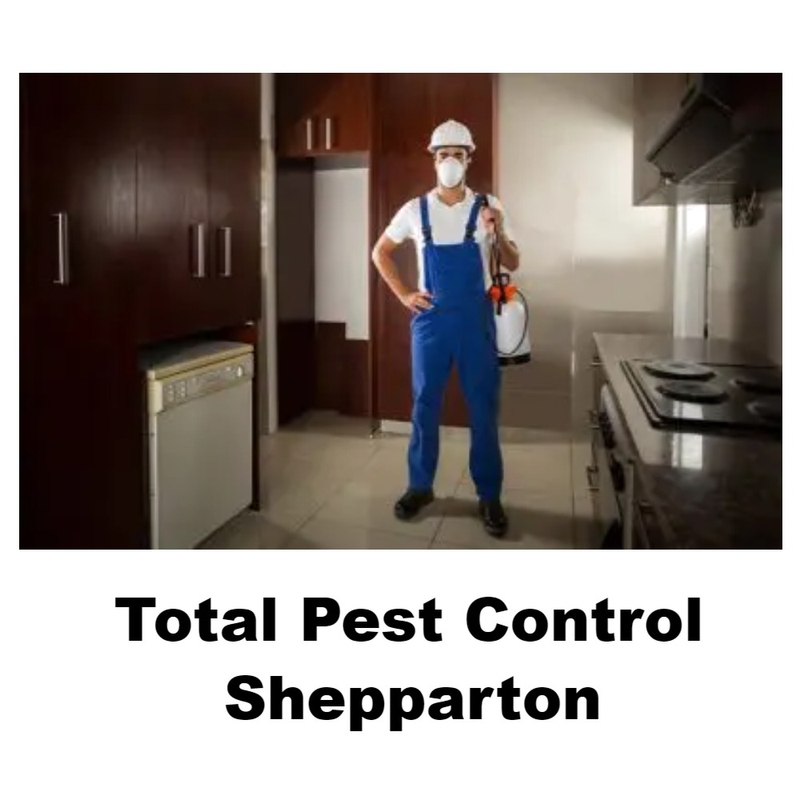 Pest Control Services Shepparton Mood Board by Totalpestcontrol on Style Sourcebook