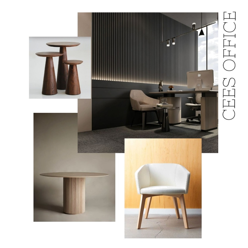 CEES -1 Mood Board by Shamnaz on Style Sourcebook