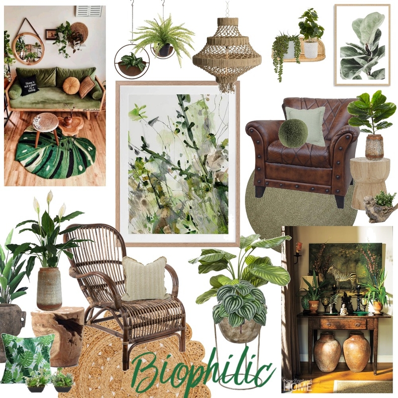 Biophilic Mood Board by Lucey Lane Interiors on Style Sourcebook