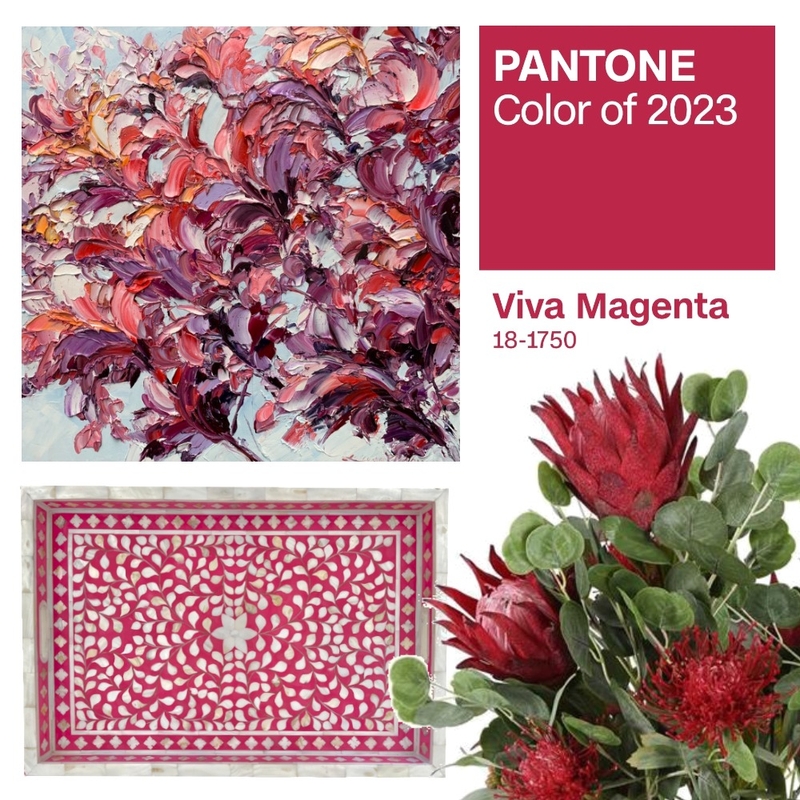 Pantone 2023 Mood Board by Noosa Home Interiors on Style Sourcebook