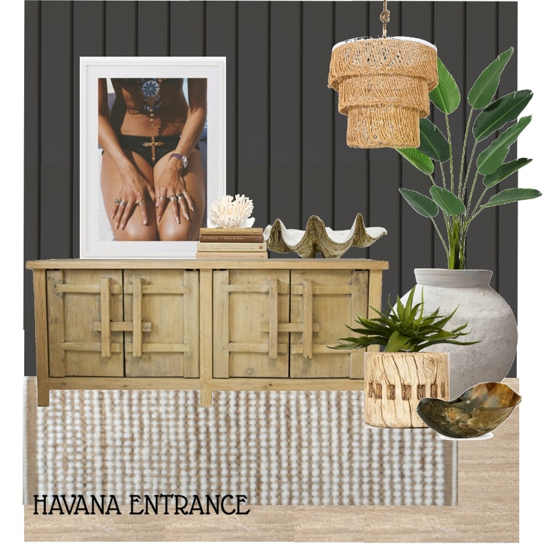 Havana Entrance Mood Board by St. Barts Interiors on Style Sourcebook